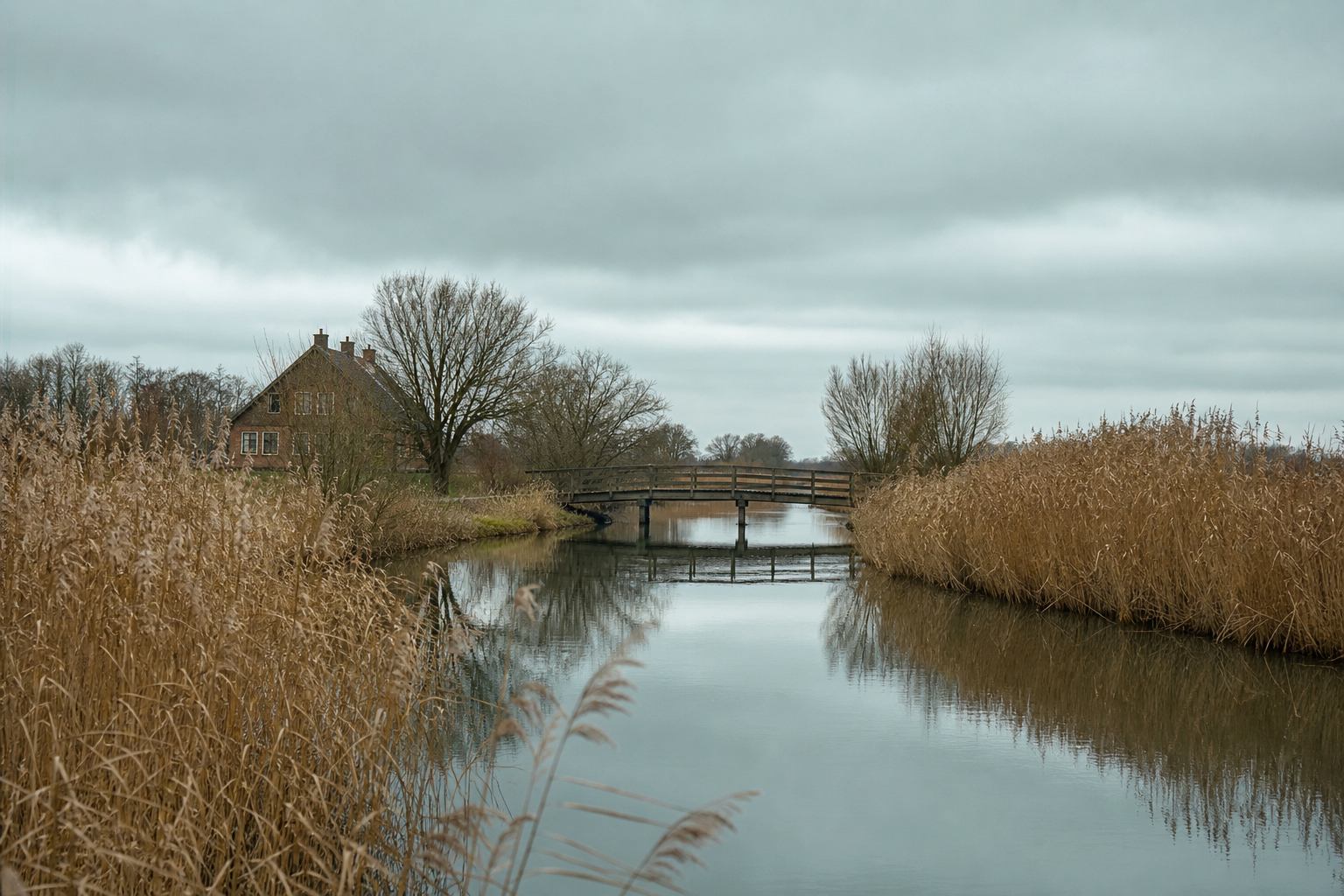 Kanal zwischen Schilfgürteln unter niedrigem Himmel